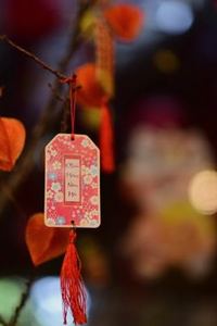 chắn di động 8Day